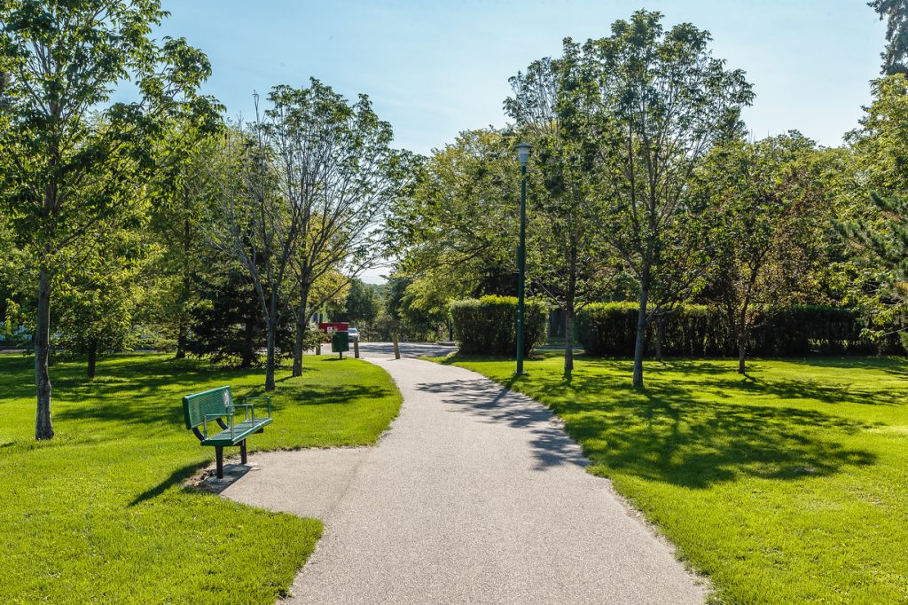 City-Park-1024x682
