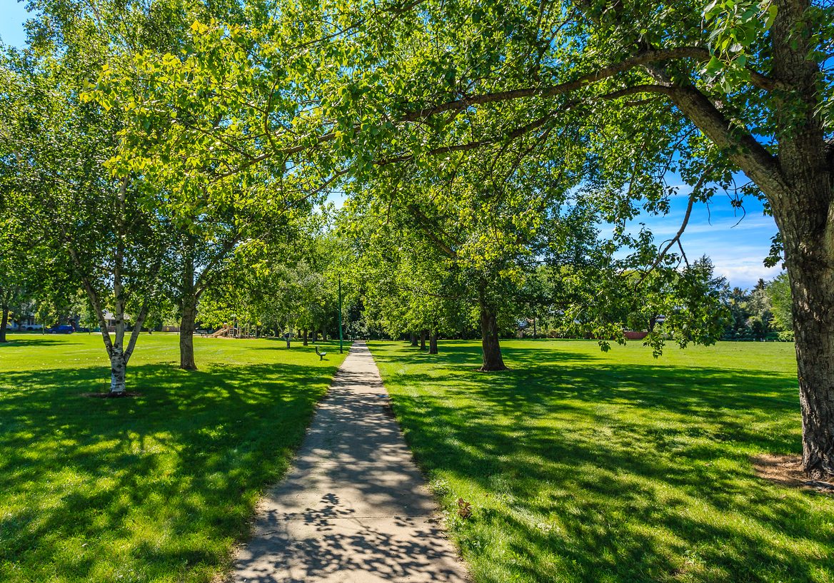 College-Park-landscape